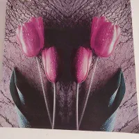 زمین کشاورزی