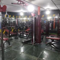 باشگاه بدن سازی