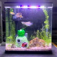 آکواریوم ماهی