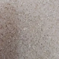 برنج نیم دانه عنبربو