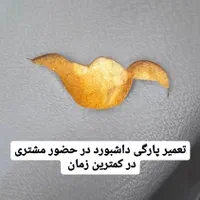 ترمیم قاب ایربک رودری و داشبورد درجا|خدمات موتور و ماشین|اسلامشهر, |دیوار