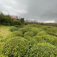 فروش-خانه-ویلایی-با-ویو-بی-نظیر