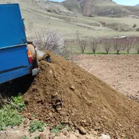 کود حیوانی|خدمات باغبانی و درختکاری|موچش, |دیوار