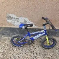 دوچرخه، فقط لاستیک میخواد