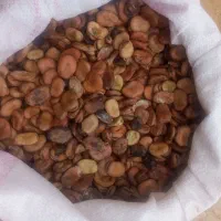 باقالی خشک مازندرانی