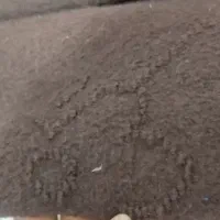 موکت دوعدد 27 متری یعنی در کل 54 متر