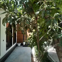 خانه مسافر لوکس شهرک ارین|اجارهٔ کوتاه‌مدت آپارتمان و سوئیت|شیراز, دکتر حسابی|دیوار