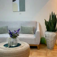 لیزر موهای زائد-تزریق زیبایی