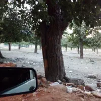خانه دوطبقه،روبروبوستان جوانمردان،برهمت،دربست|اجارهٔ خانه و ویلا|تهران, کن|دیوار