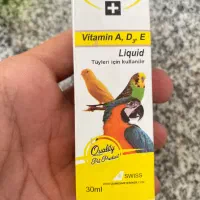 کوتوله برزیلی|پرنده|زاهدان, |دیوار