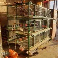 قفس اتومات بزرگ