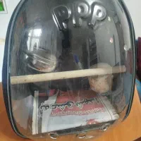 کیف حمل پرنده
