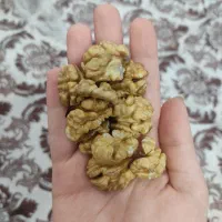مغز گردوی سفید