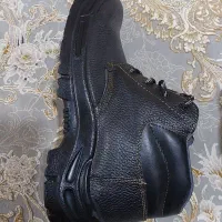 کفش کار|کیف، کفش، کمربند|بندرعباس, |دیوار