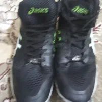 کفش والیبال