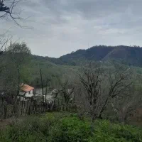 فروش زمین باغی هزار متری در سیاهکل سوتگوابر