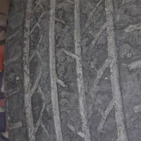 لاستیک|قطعات یدکی و لوازم جانبی|سیرجان, |دیوار