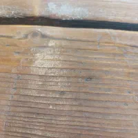 استخدام در رستوران در منطقه شاندیز