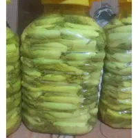 ترشی بیلهر