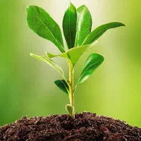 ترک اعتیاد در محیط کار ویژه شاغلین