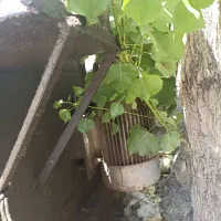 دستگاه پرس رانی قوطی|ماشینآلات صنعتی|کرمانشاه, |دیوار