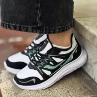 ساکونی میانه