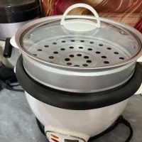 پلوپز و بخارپز