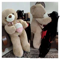 خرس یکو نیم متری