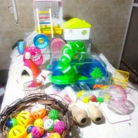 بیا تو سالن همستر ببین بگیر بخر ببر|موش و خرگوش|یزد, |دیوار