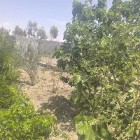 باغ ۸۰۰متری نیمه ساز دوکله راه