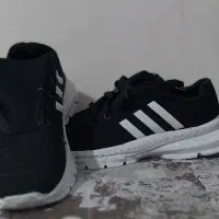 کفش اسپرت|کیف، کفش، کمربند|دوگنبدان, |دیوار