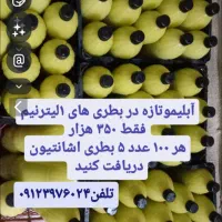 فروش آبلیمو و سبزی خورد شده و سرخ شده شهریار