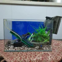 اکواریم شیشه خم