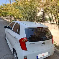 پیکانتو سفید استثنایی کم کار