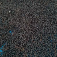 فروش کشمش|خوردنی و آشامیدنی|تاکستان, |دیوار