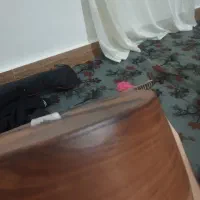 دوتار تربت|سازهای سنتی|انبارآلوم, |دیوار