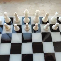 شطرنج رزینی|اسباببازی|ساری, |دیوار