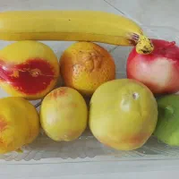 میوه تزینی