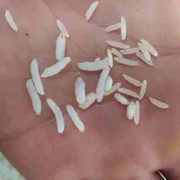 طارم محلی اعلا|خوردنی و آشامیدنی|اصفهان, براآن شمالی|دیوار