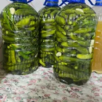 خیارشور خانگی ۴ لیتری|خوردنی و آشامیدنی|مرودشت, ده بید|دیوار