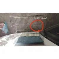 قفس