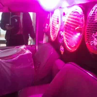 پادرا پلاس|خودرو سواری و وانت|مشهد, اروند|دیوار