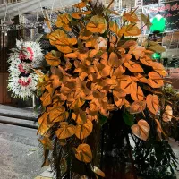 پایه گل / تاج گل / سبد گل|خدمات پذیرایی، مراسم|تهران, اختیاریه|دیوار