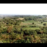 ۲۰۰مترزمین قابل ساخت باویوی بی نظیر در ازارسی بابل