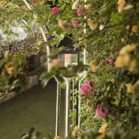 عمارت عقد پاپیون|خدمات پذیرایی، مراسم|کرج, گوهردشت|دیوار