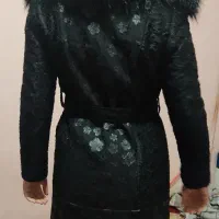 پالتو نو