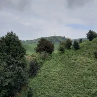 فروش زمین ۲۲۰ متری سوستان/پروانه ساخت/فرصت خرید