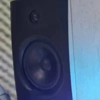 اسپیکر مانیتورینگ icon|سیستم صوتی خانگی|کرج, باغستان|دیوار