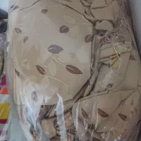 پرده سالم سالم