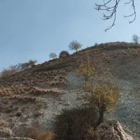 زمین جاده باغرود